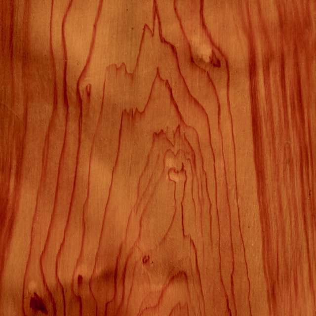 2.01b cederhout 3 2.jpg